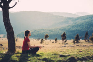 Read more about the article Quieter, Smarter Suction